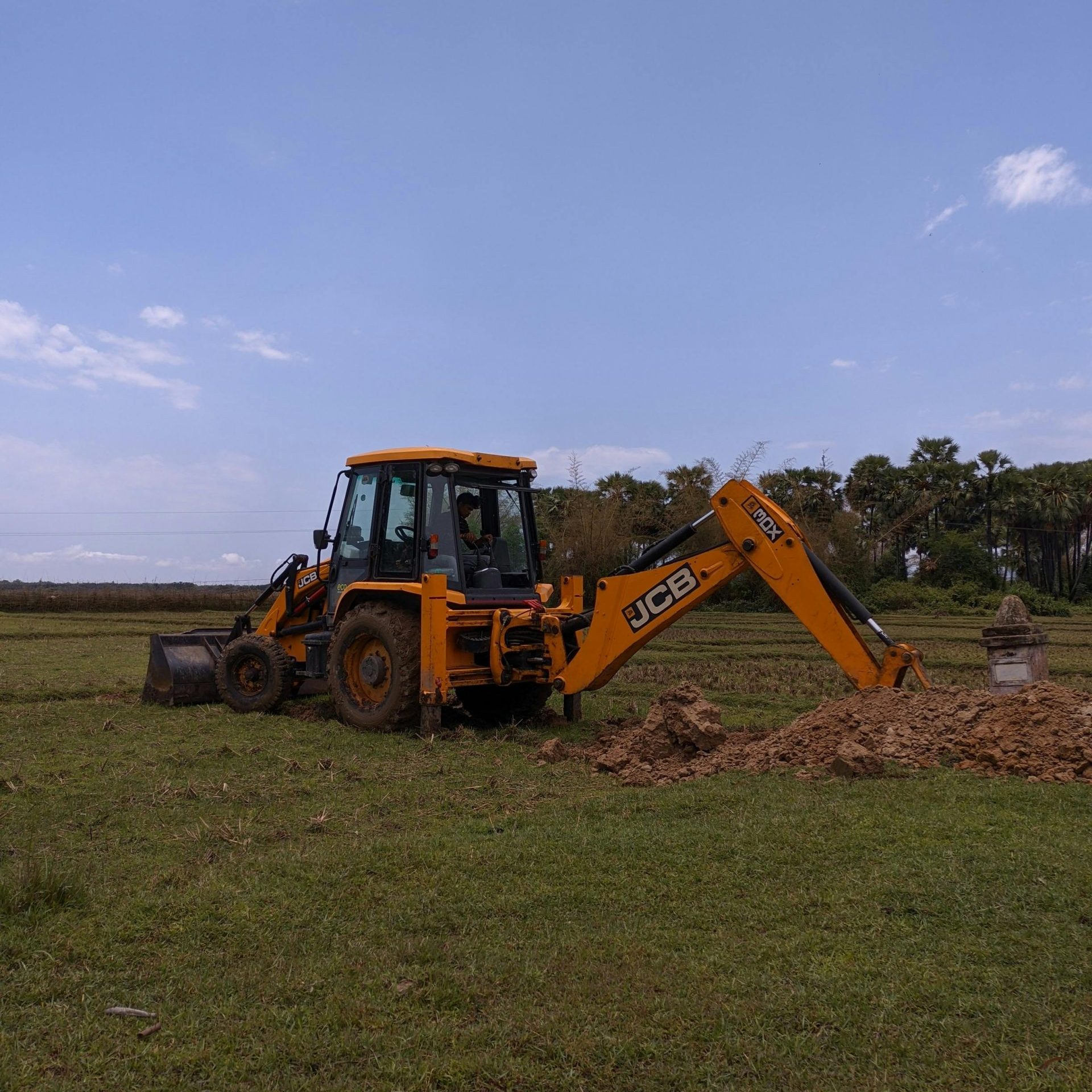 Land Clearing Services in Ormond Beach | Ormond Land Clearing
