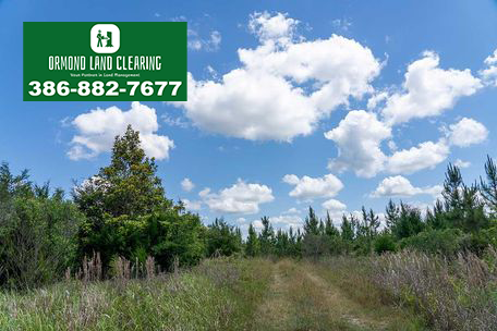 Land Clearing for DeLand’s Acreage & Estate Homes