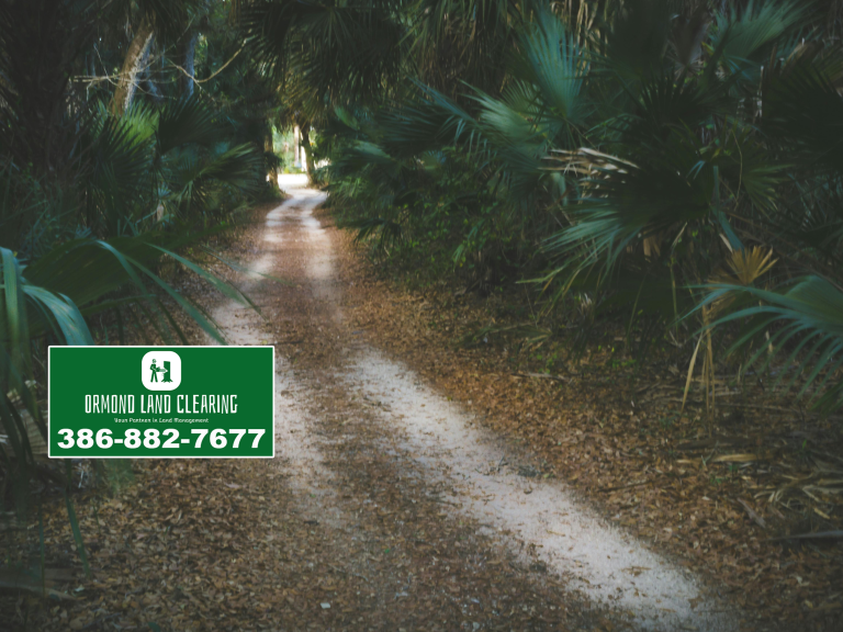 Professional Land Clearing and Property Maintenance in Port Orange