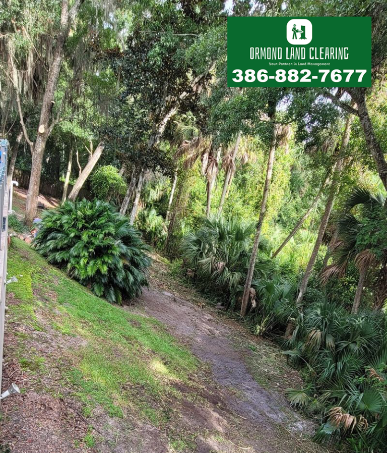 Land Clearing Services for Flagler County Homes & Acreage | Ormond Land Clearing