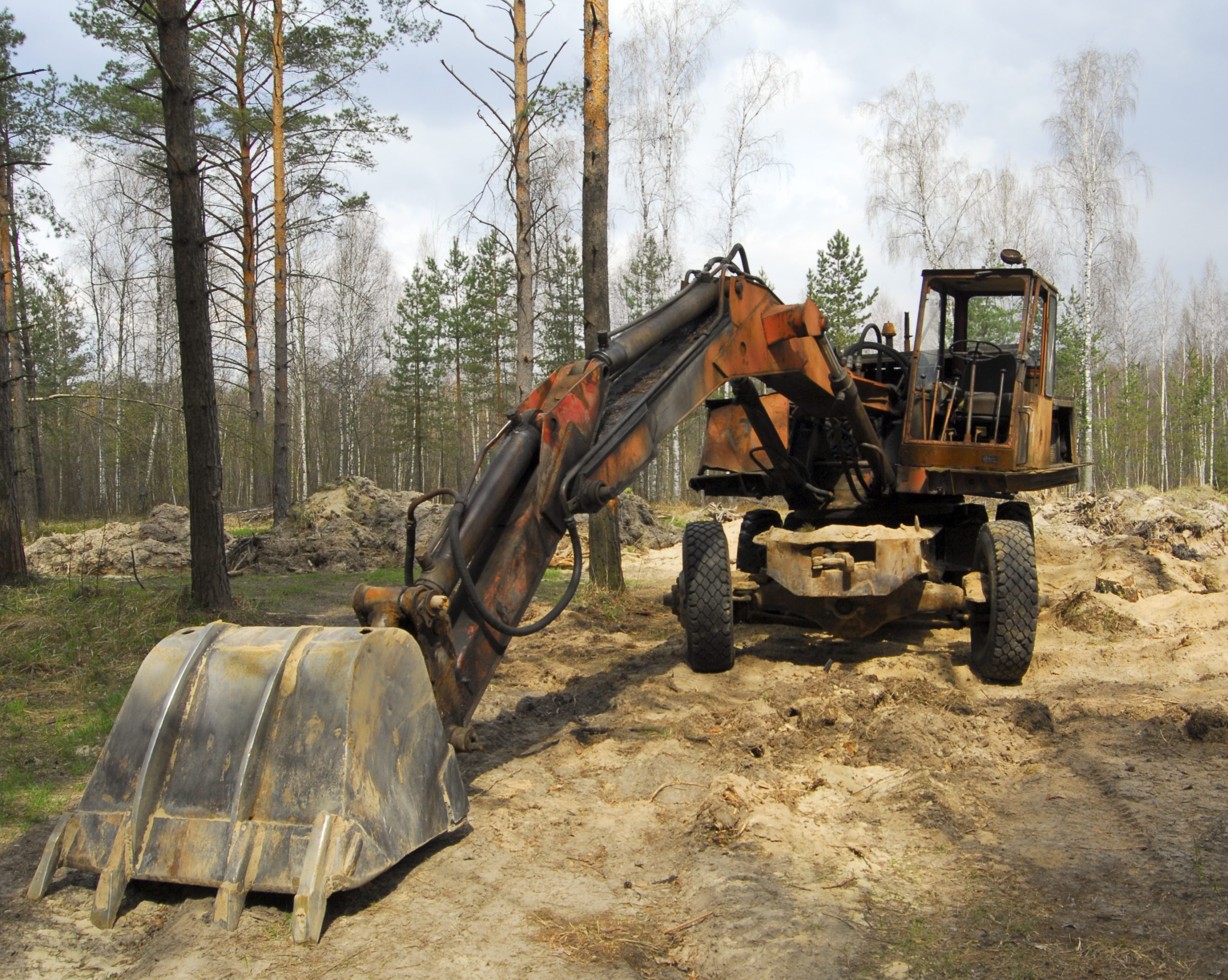 Property Management & Fire Mitigation for Residential Clients in Flagler County | Ormond Land Clearing