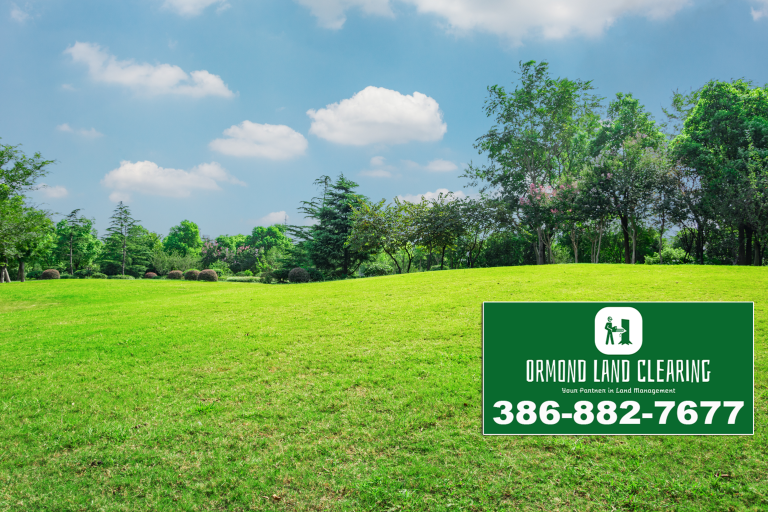 The Essential Benefits of Land Clearing in Volusia and Flagler Counties
