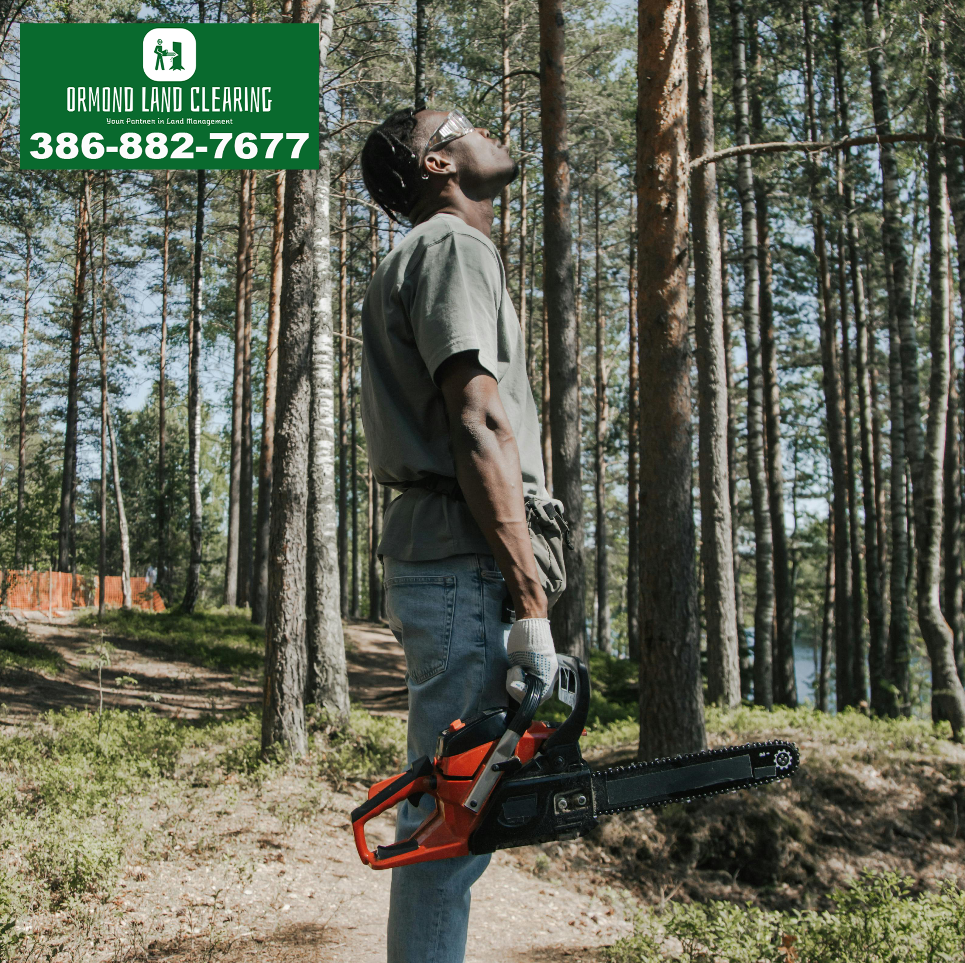 Land Clearing & Fire Mitigation Services in Volusia & Flagler Counties
