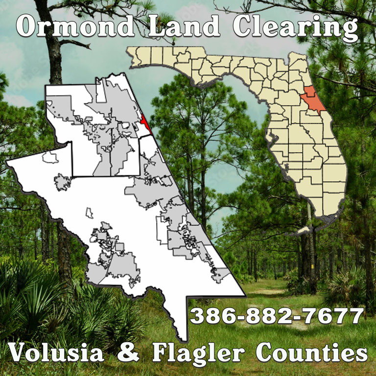 Partner with Ormond Land Clearing: Expert Land Maintenance Services for Cities and Counties