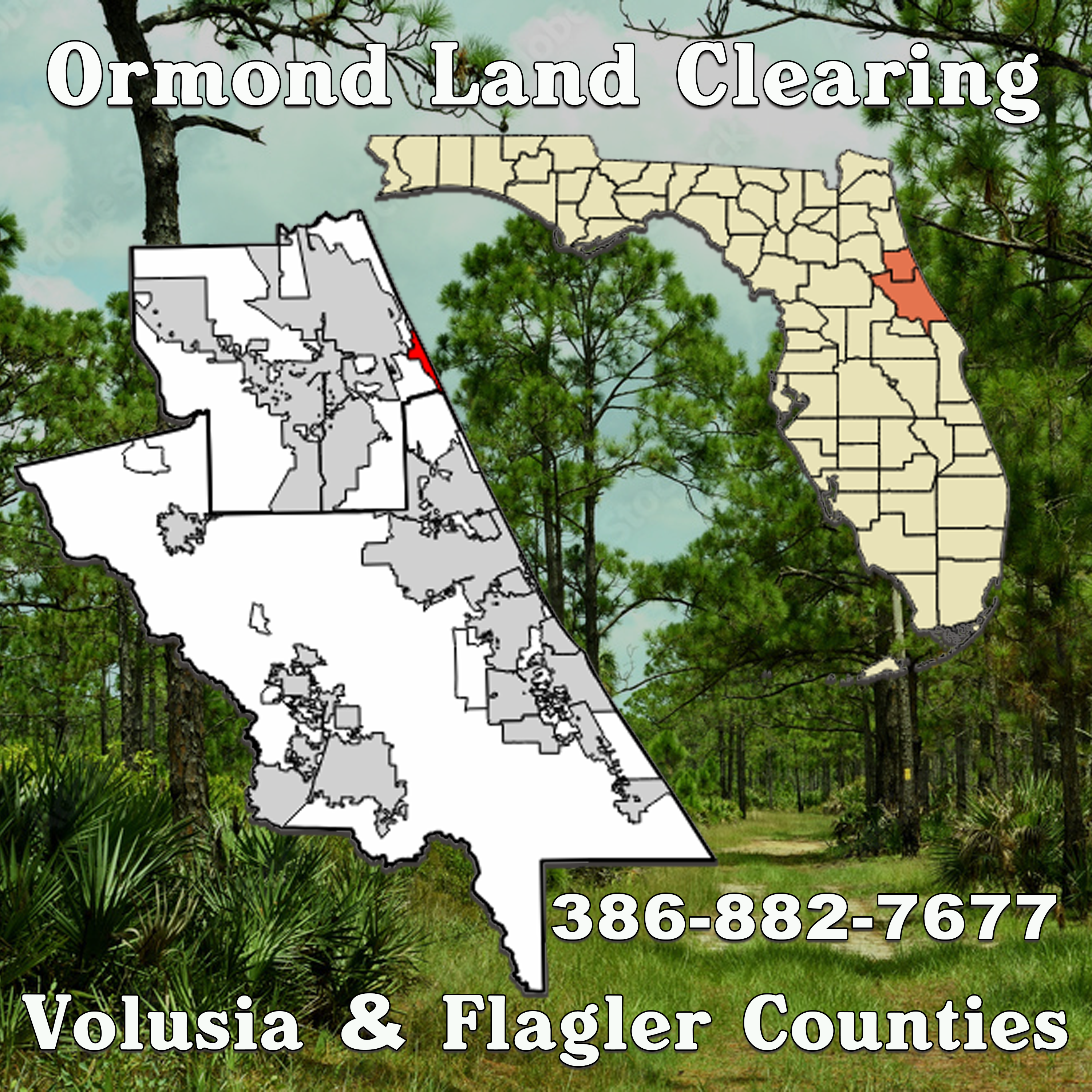 Partner with Ormond Land Clearing: Expert Land Maintenance Services for Cities and Counties