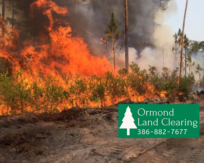 Land Clearing Solutions for Homes and Businesses in Volusia & Flagler Counties