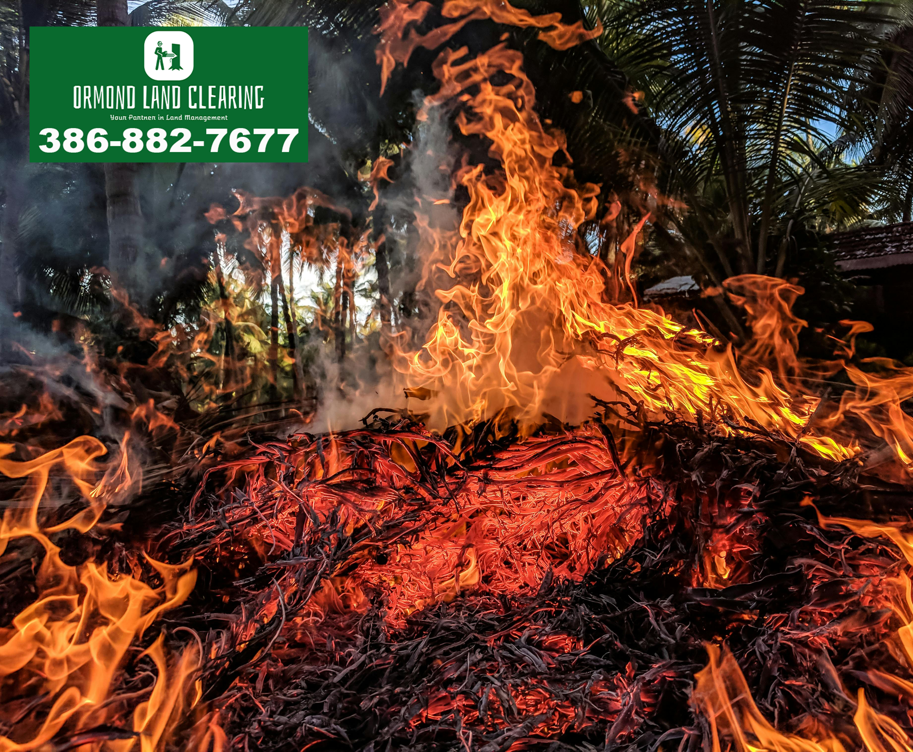 Protecting Your Property from Wildfires in Volusia and Flagler Counties