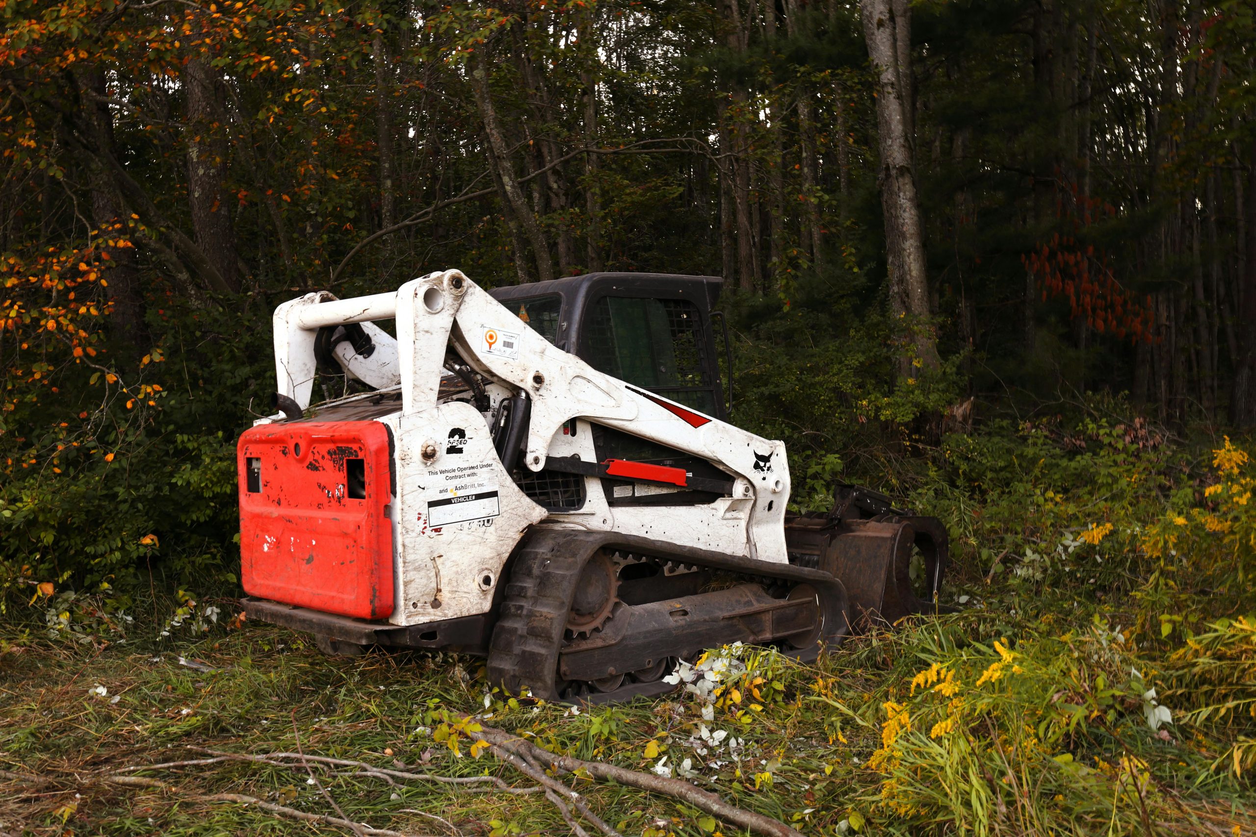 Professional land clearing and vegetation removal in Ormond Beach Florida